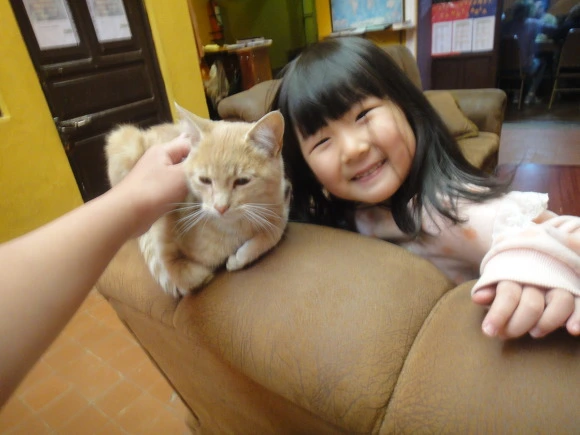 997C5E3359F9BD86266284