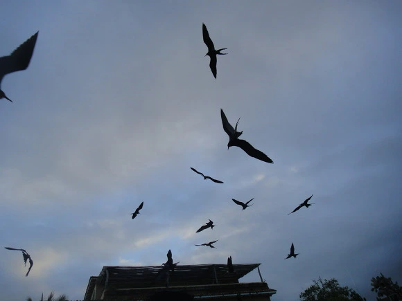 99A86A3359FB65C8171CAA