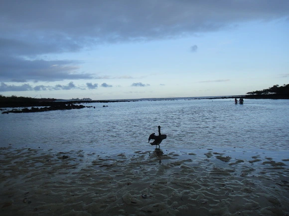 99ADF73359FB65C614119D