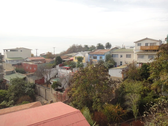 9949D43359F91D8808FE2A