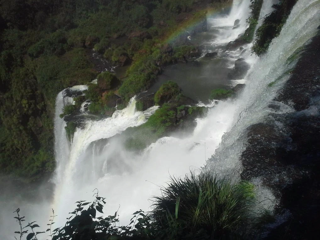 9993A53359EEACC40ECEA5