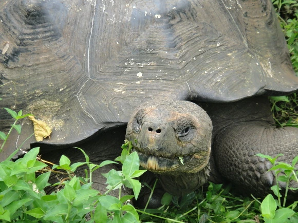 997F433359FB60580D1708