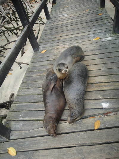 99A9DD3359FB7D9128B005