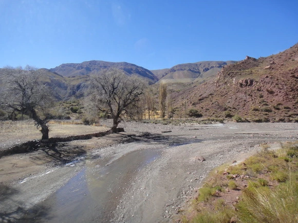 99204E3359F9B5B919C33E