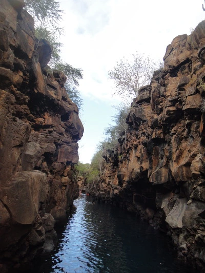 99ACEE3359FB65C1141329