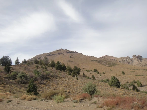 99AEE73359F3501E1203C0