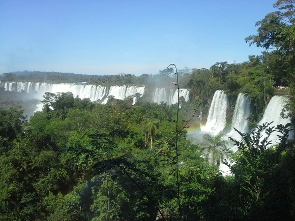 99CE483359EEACC52FC14B