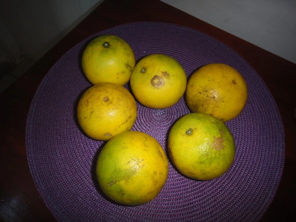 99990F3359FB771D222350