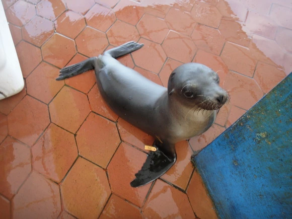 9991383359FB6B871AC078