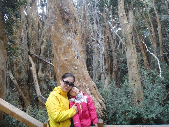 9926243359F64D9B0E1575