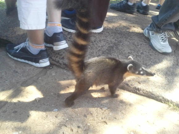 99AC843359EE9004159E75