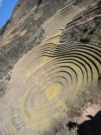 99A6243359FAE3BF09A4EF