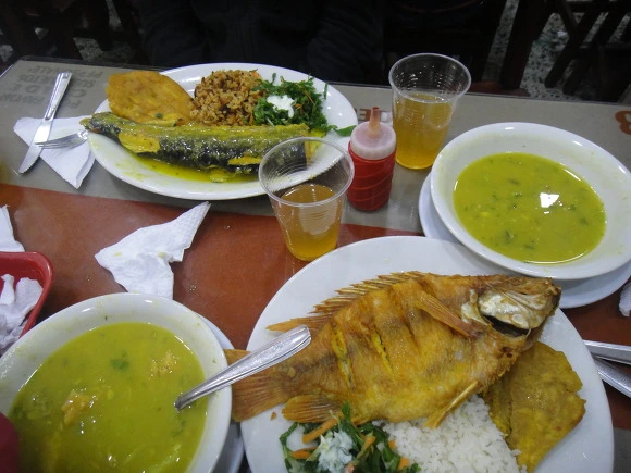 9952C0335A010A5211EF61