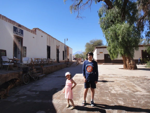 9953F83359F933C82426B7