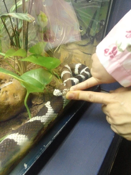 25098C4D5609550C182133