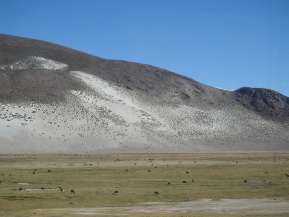 99490B3359F9B5BF115758