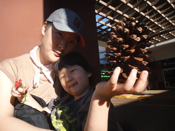 9911E43359EEB0B60353E1