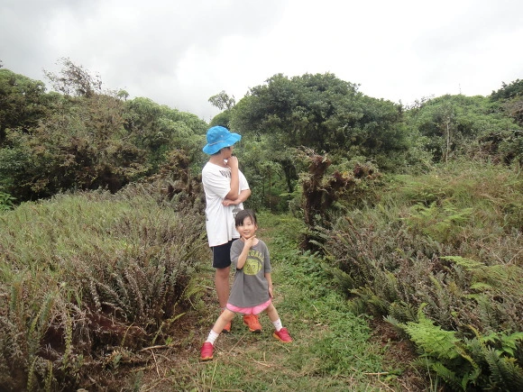 99A93E3359FB5B870A8EA5