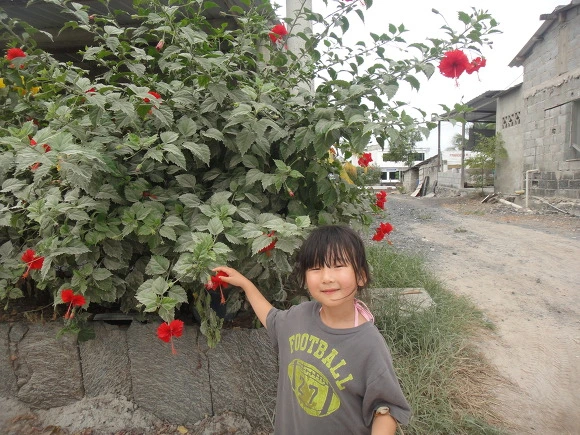 99AA453359FB7C39276A04