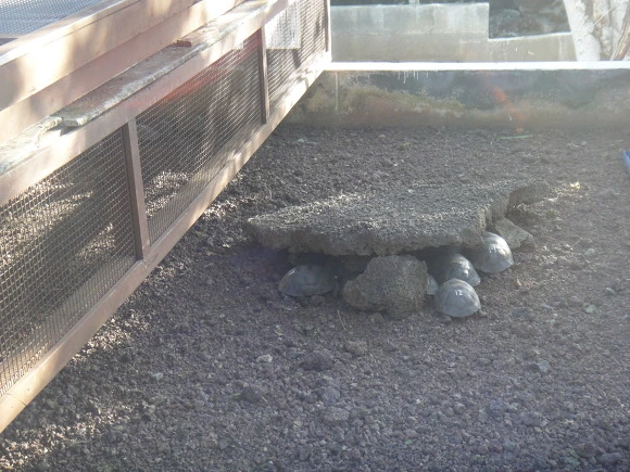 993FFC3359FB566501FD13