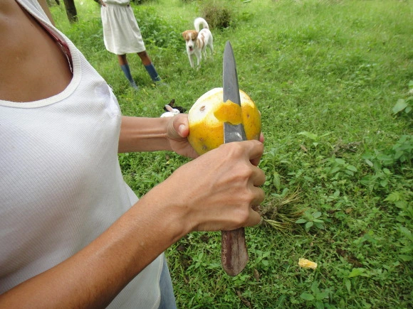 99ED1F3359FBFDB203C569