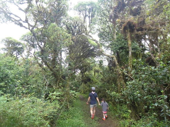 99A9793359FB5B8A0A88BE