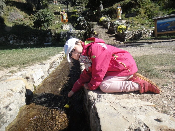 993B333359FACD6C09C615