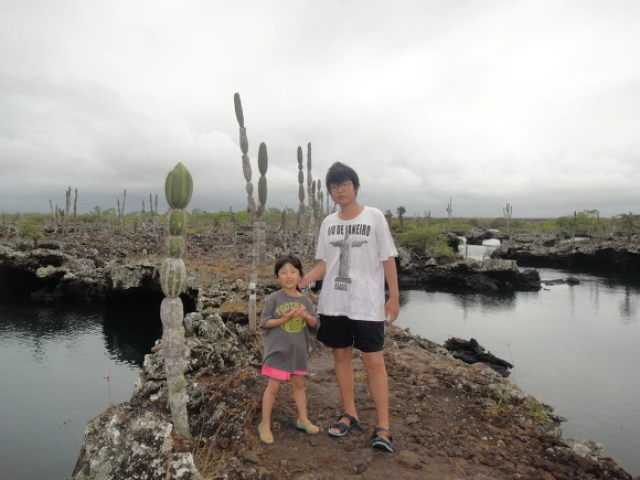 9994543359FB75BF1F2B3F