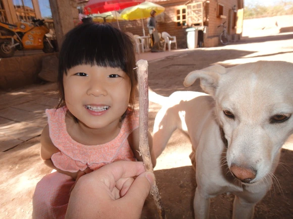 99166F3359F931A91B36ED