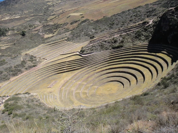 9950973359FAE3B2296A1D