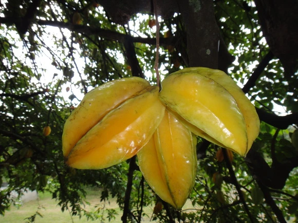 9945AC3359FC689E0A3A08