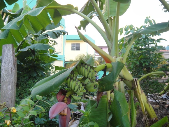 9995843359F7D2D82E1D5A