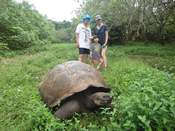 99100E3359FB5E660BC1C3