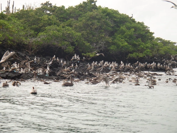 9986CF3359FB7397239FD9