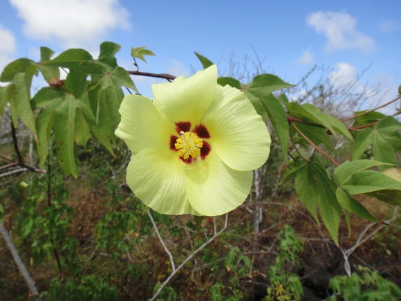 9941A23359FBC514089B9E