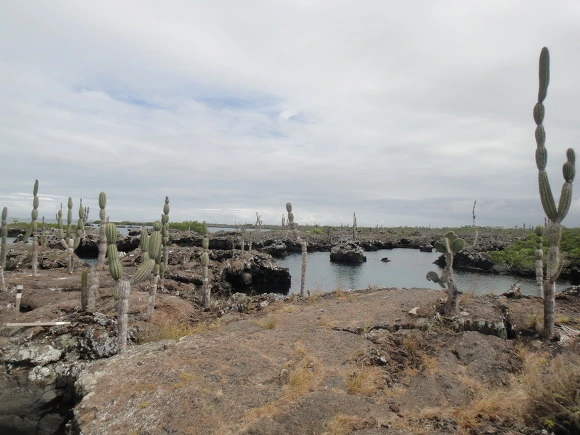 996B7A3359FB781924C50D