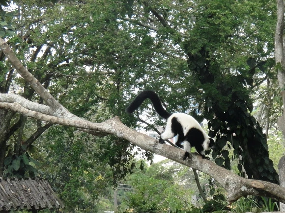 9944A9335A0062F52D8F1F