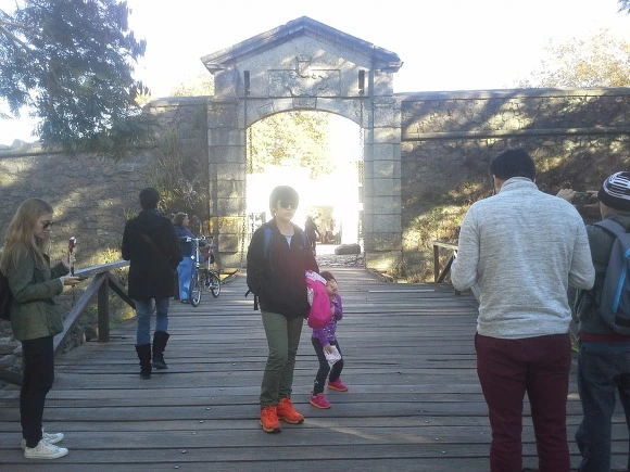 99272F3359EEEF7617F712