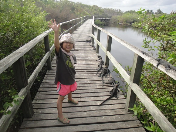 9969C73359FB702D1DE7F5