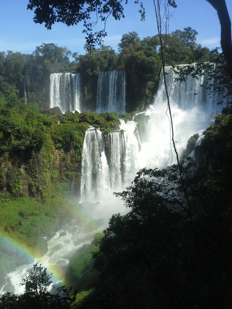 9955AB3359EEACC617651D