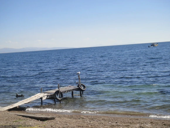 9969693359FAB09F204020