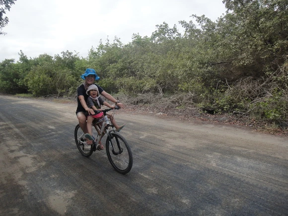 9957D03359FB70271FEF62