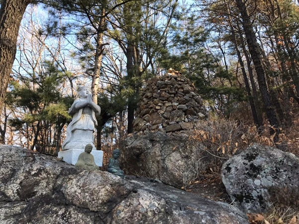 c_32gUd018svc1kjpz63z4e7in_ewl4x0.png?type=w800