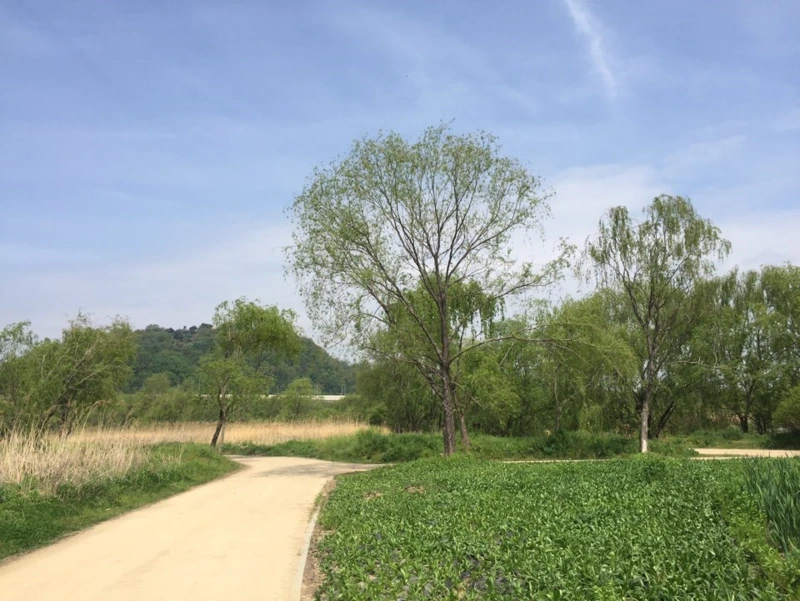 %EA%B3%A0%EC%96%91%EB%8C%80%EB%8D%95%EC%83%9D%ED%83%9C%EA%B3%B5%EC%9B%9003.png?type=w800