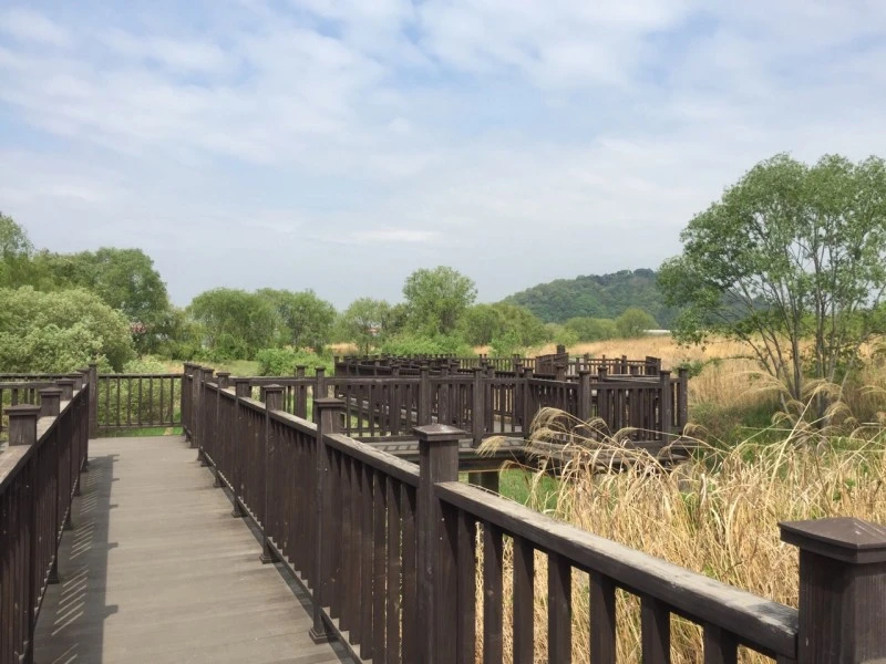 1_0fiUd018svczzsu63br6dzq_1iwajk.jpg?type=w800