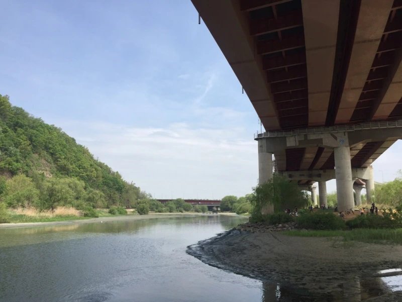 %EA%B3%A0%EC%96%91%EB%8C%80%EB%8D%95%EC%83%9D%ED%83%9C%EA%B3%B5%EC%9B%9017.png?type=w800