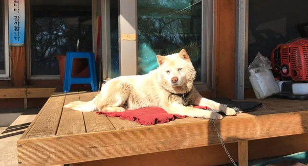 9_52gUd018svc17ta3oku62uas_ewl4x0.png?type=w800