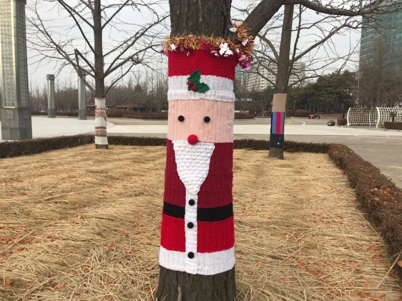 %25EB%2582%2598%25EB%25AC%25B4%25EA%25B6%258C%25EB%25A6%25AC%25EC%2584%25A0%25EC%2596%25B8_%25ED%2598%25B8%25EC%2588%2598%25EA%25B3%25B5%25EC%259B%2590%25ED%2592%258D%25EA%25B2%25BD09.jpg?type=w800