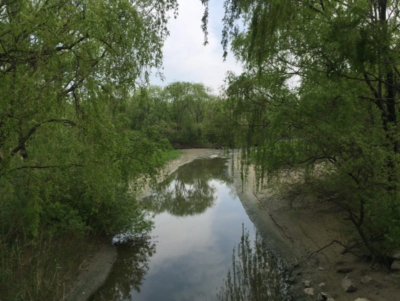 %EA%B3%A0%EC%96%91%EB%8C%80%EB%8D%95%EC%83%9D%ED%83%9C%EA%B3%B5%EC%9B%9006.png?type=w800