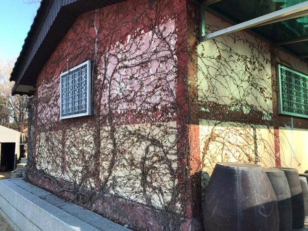 e_32fUd018svc1p27omszqbkzf_ewl4x0.png?type=w800